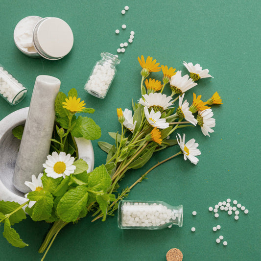 Analfissur Behandlung Alternative